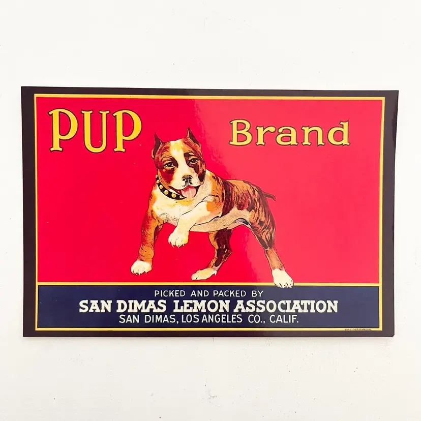 Bull Terrier Dog Pup Brand San Dimas Lemon Advertising Postcard Vintage 1980s