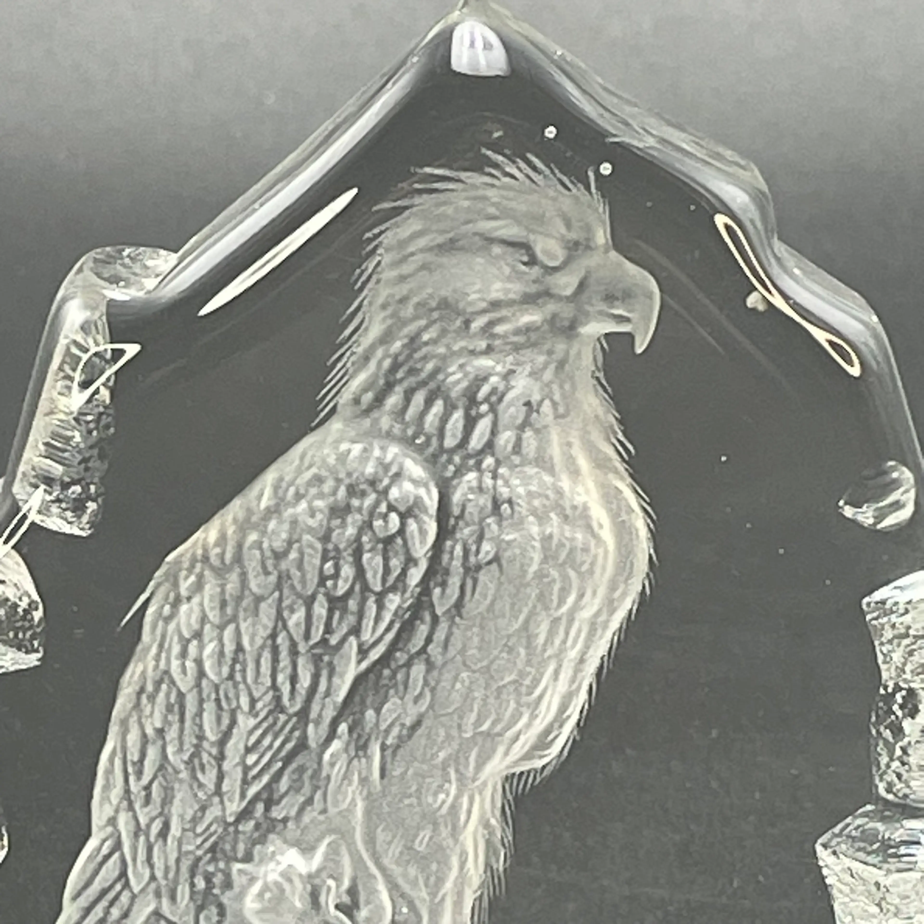 Image 3 of 14