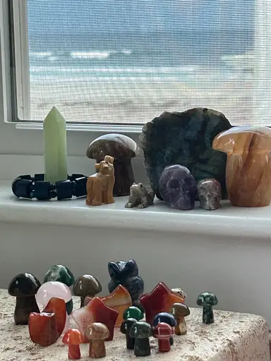 Mini Mineral Mushrooms & More w/Birdandbloomthrift At The Beach!