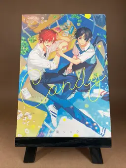 CANDY - Shou Harusono Art Collection - Vibrant Illustrations  - Comic Graphic Novel - Japanese Edition