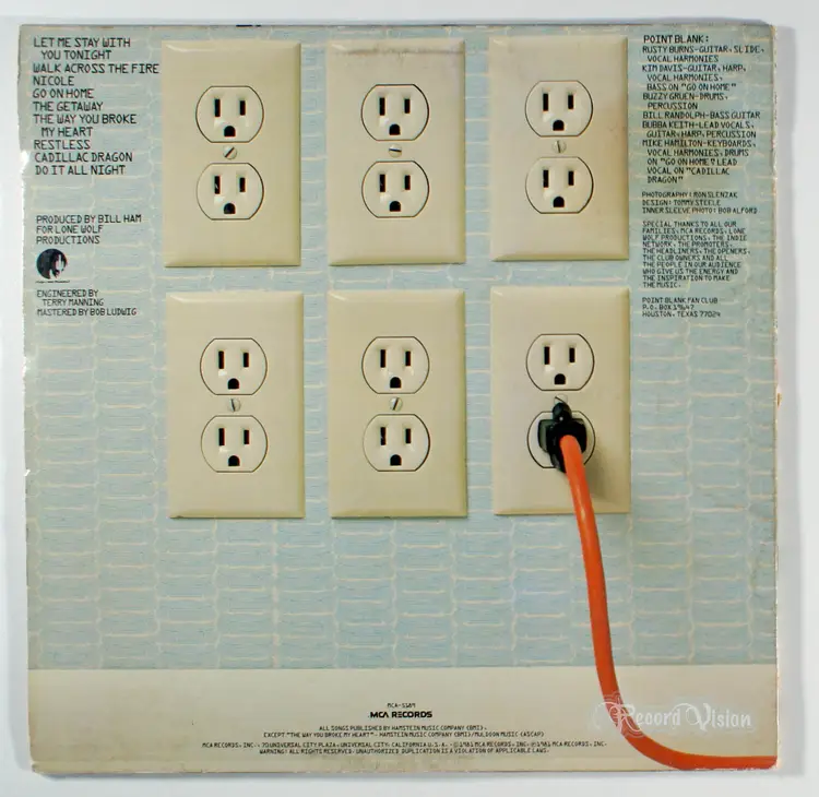 Point Blank - American Excess (1981) Vinyl LP • Nicole, Southern Rock