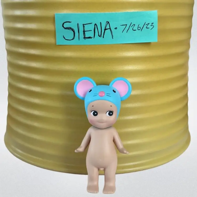 Animal Series 2: Mouse 🐭 