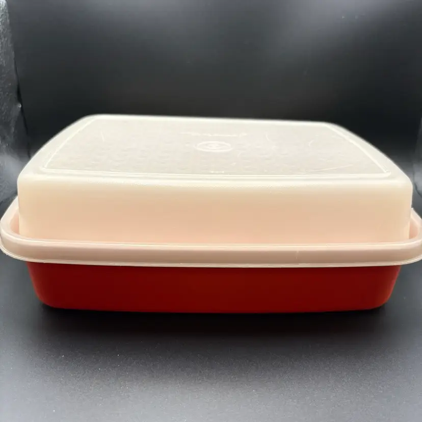 Tupperware Marinade Box