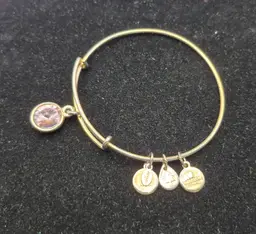 Alex and Ani June Birthstone Charm Bangle