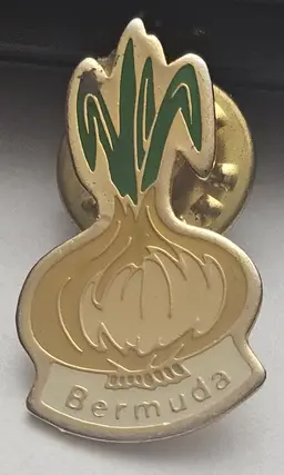 Bermuda Onion Pin Gold Tone