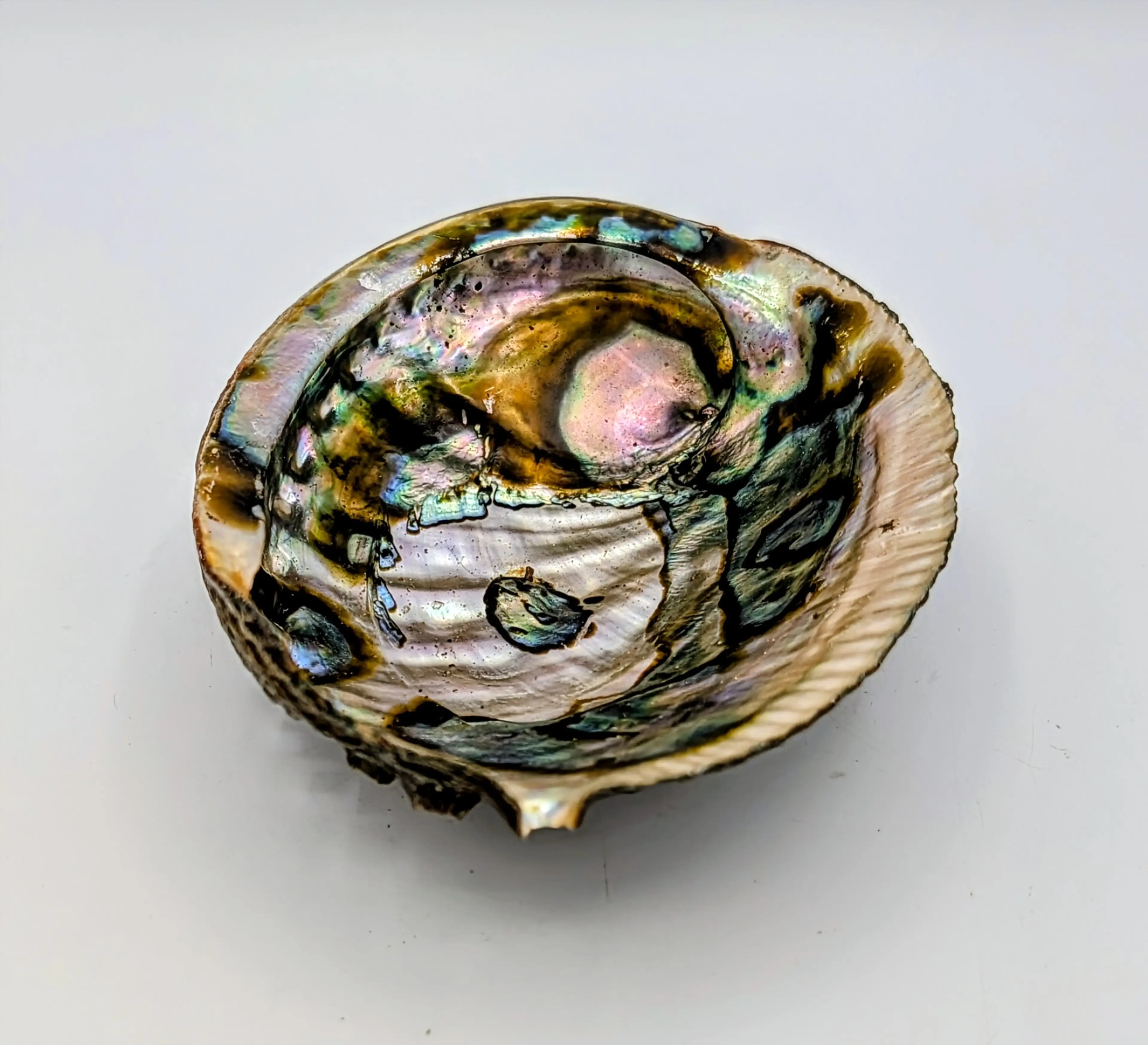 Image 2 of 6