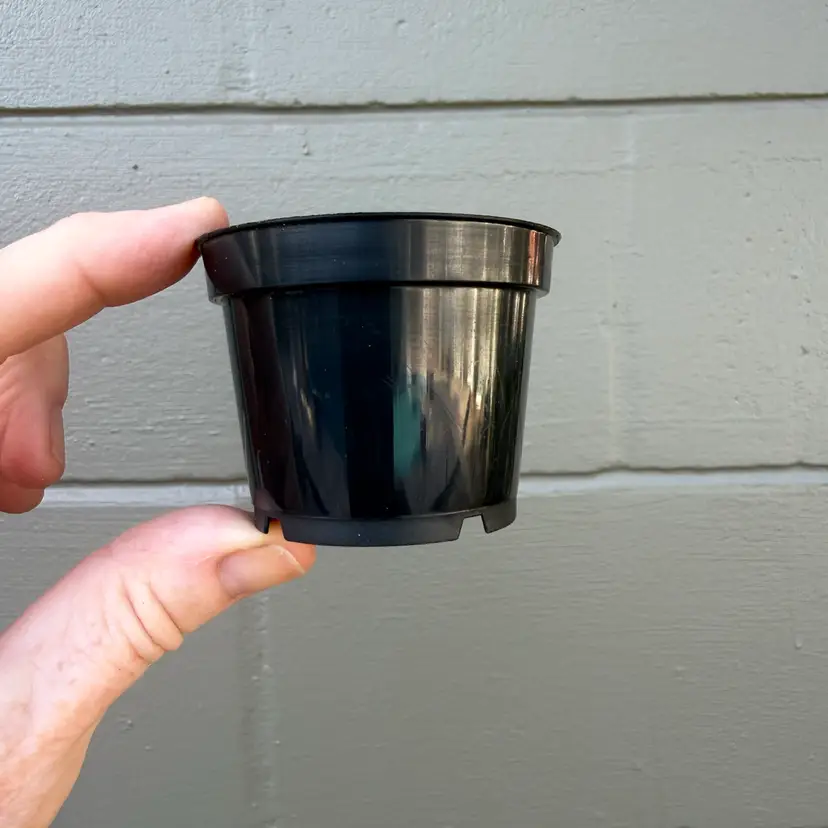 (20) 2.25β x 1.75β pots with drain holes