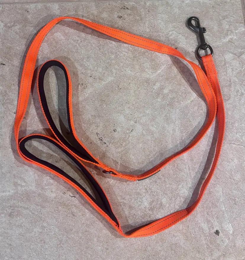 Reflective Orange Dog Leash 6ft