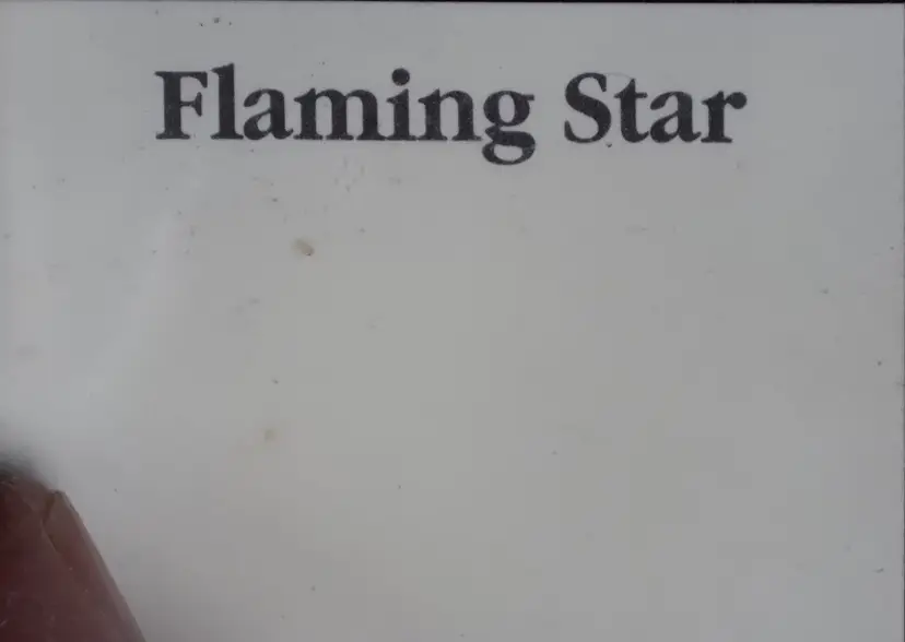 Elvis - Flaming Star - Colorized State Quarter and Kennedy Half Dollar