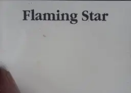 Thumbnail