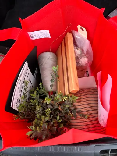 Goodwill Outlet Finds From My Trunk!