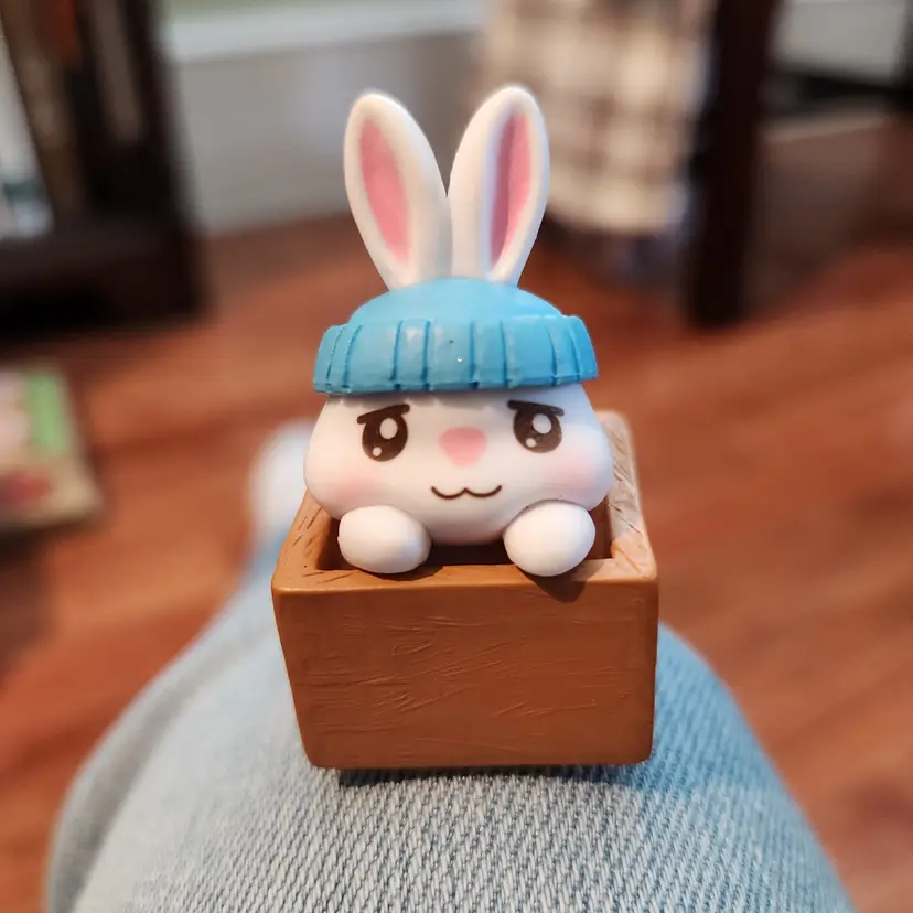 Bunny In Box