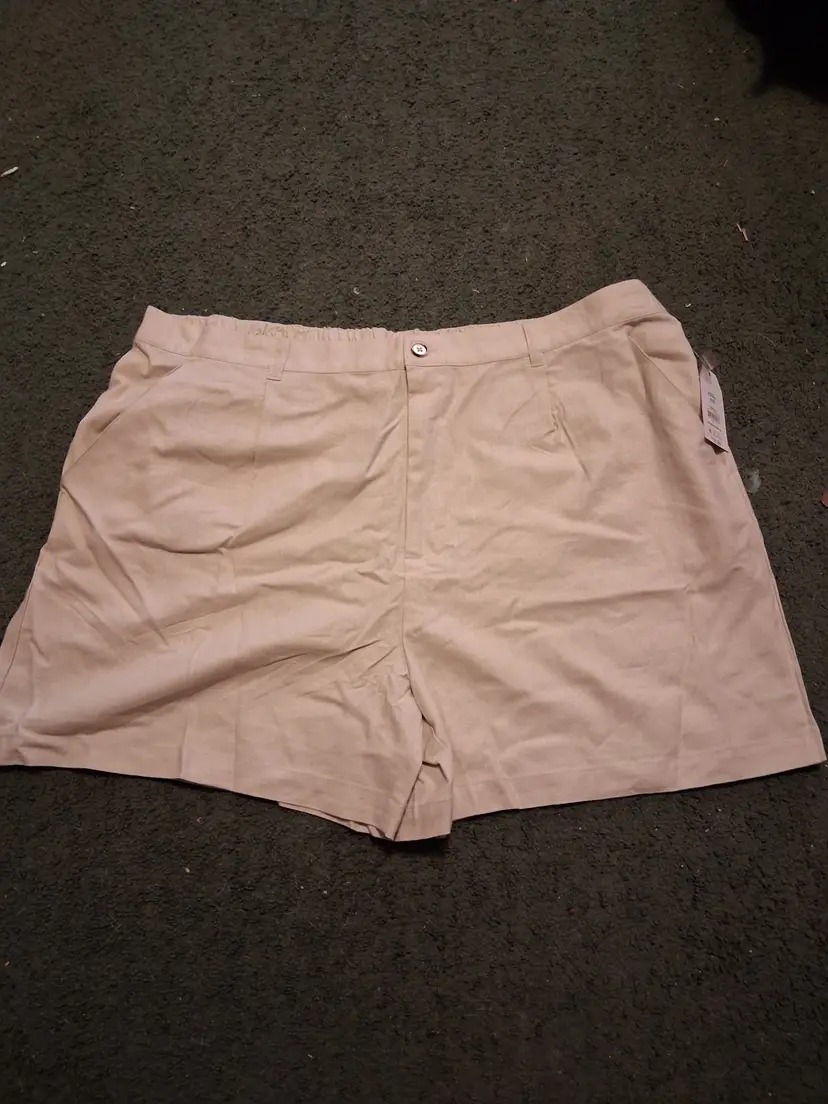 #04 - BNWT 22 Beige Linen Elastic Back Flat Front 3 Pocket Shorts (B30)