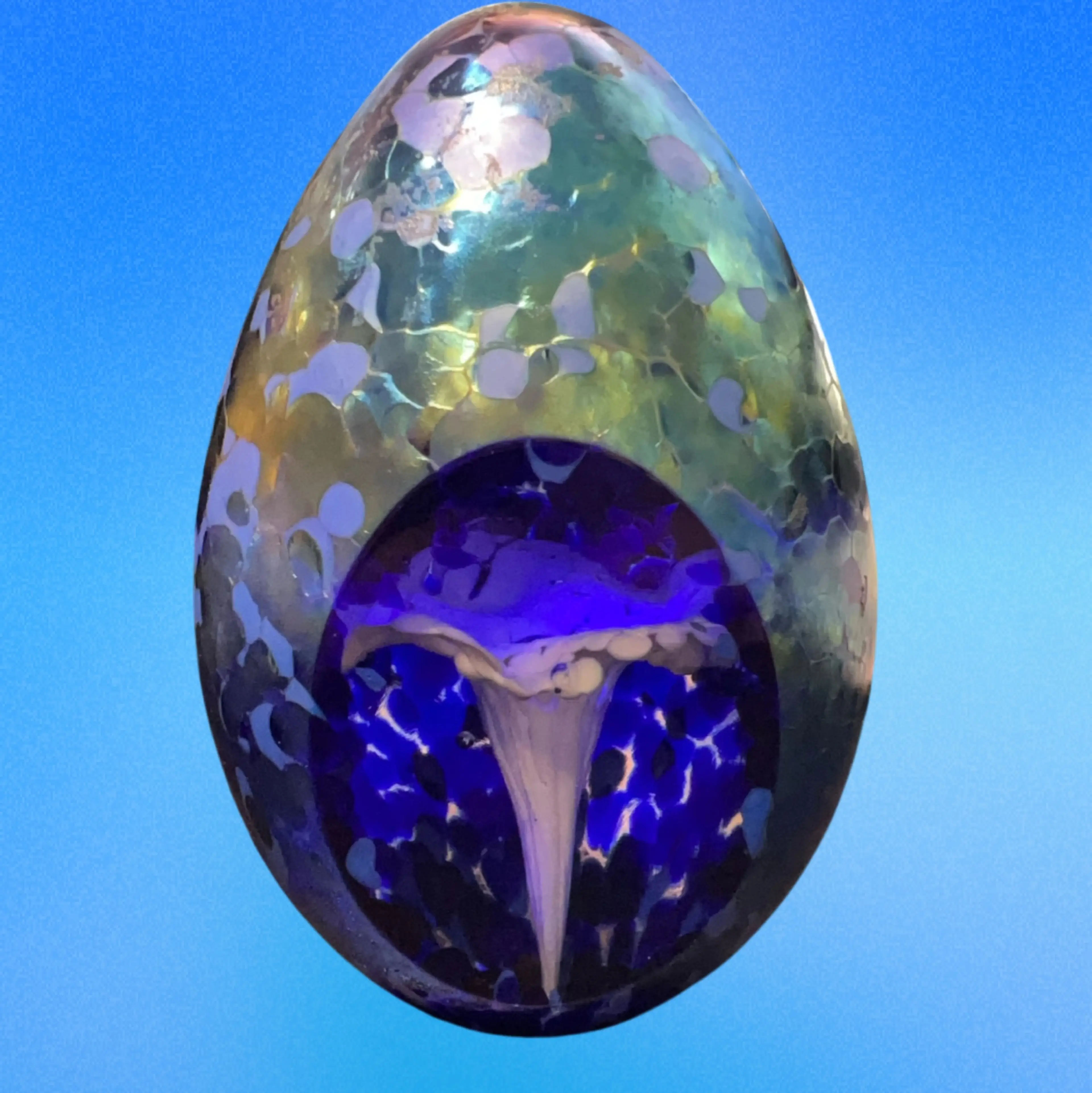 Image 1 of 7