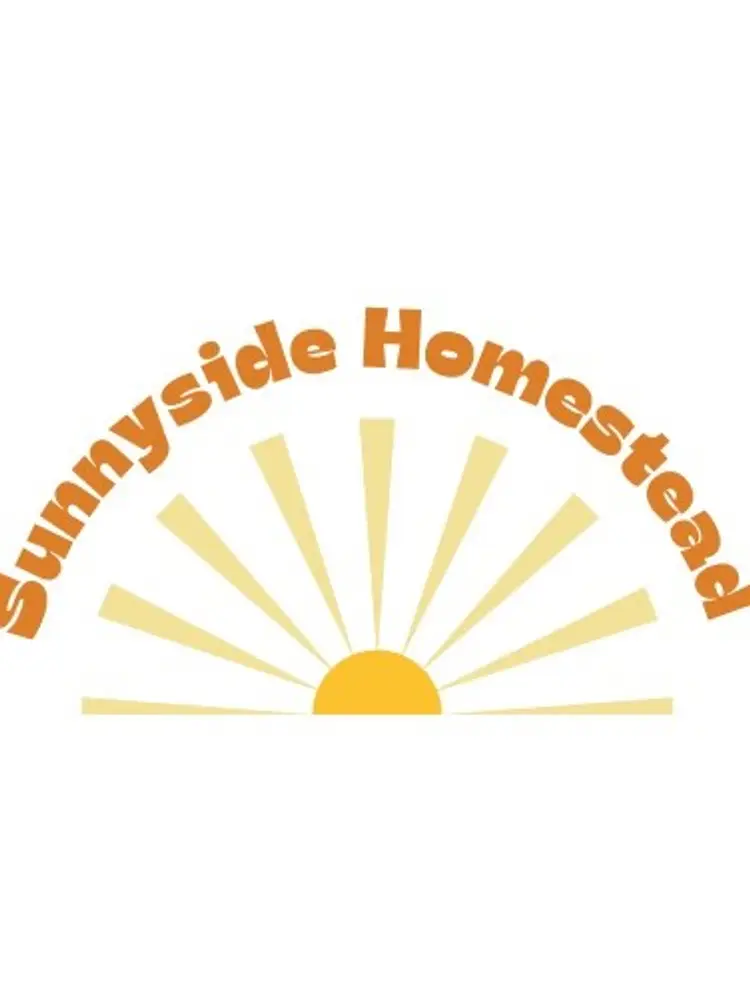 DVD Day 2 Progressive Shipping 