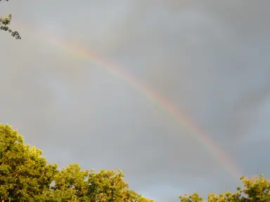 Fantastically Fun Finds