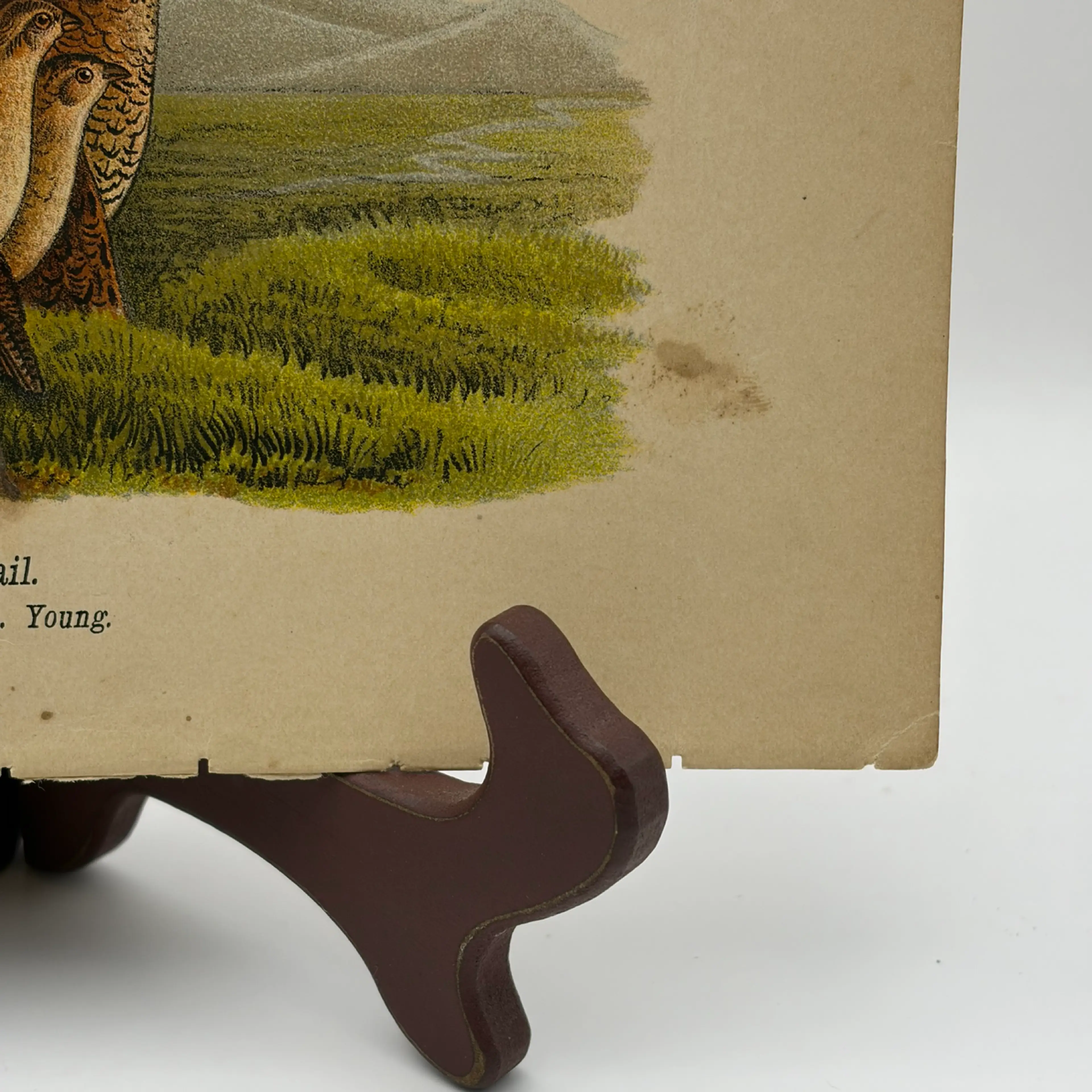 Image 4 of 9