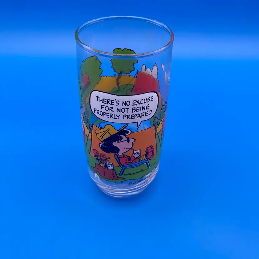 Peanuts Camp Snoopy Collection Lucy Drinking Glass - VTG 1983 McDonald's