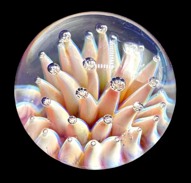 Contemporary Handmade Art Glass Marble .83" Pink Anemone Air Trap Implosion