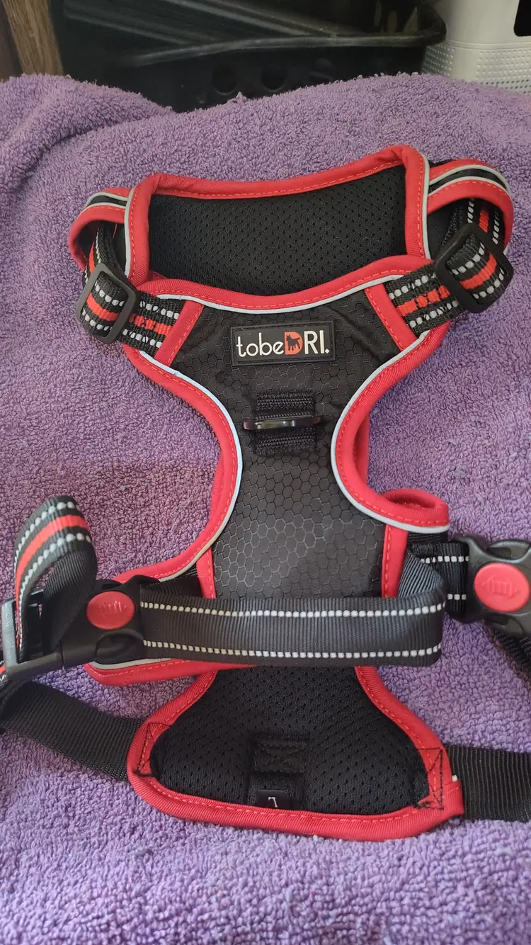 Size large red/blk dog harness