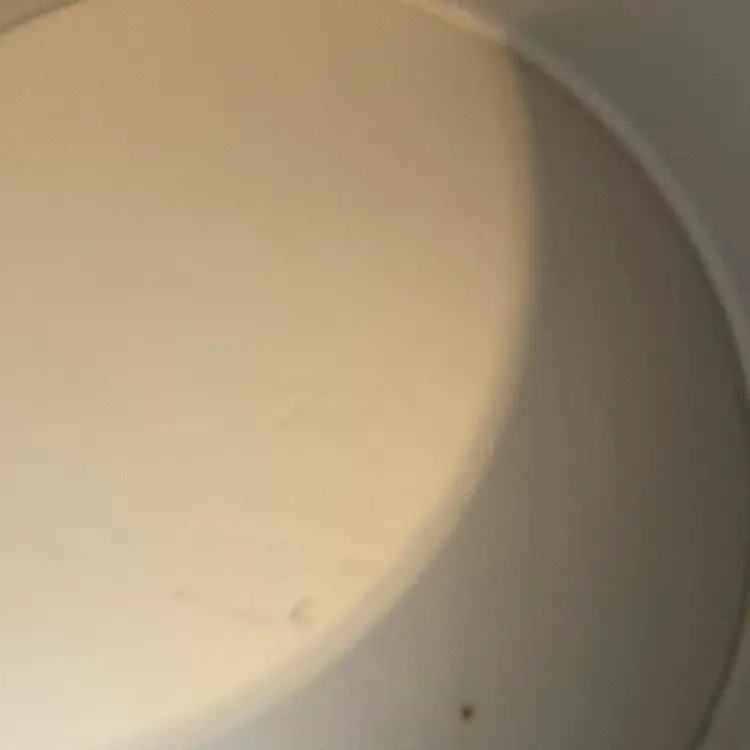 Fat Daddia’s Cheese Cake Pam