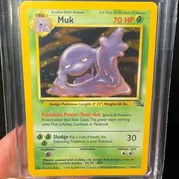 1999 Muk Holo Fossil set 13/62