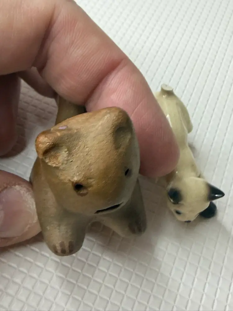 Two Cats One Siamese Cat As Is