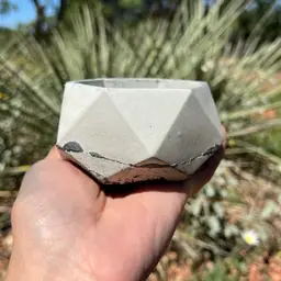 3”x2” Charcoal Crackle Hexagon Concrete Planter