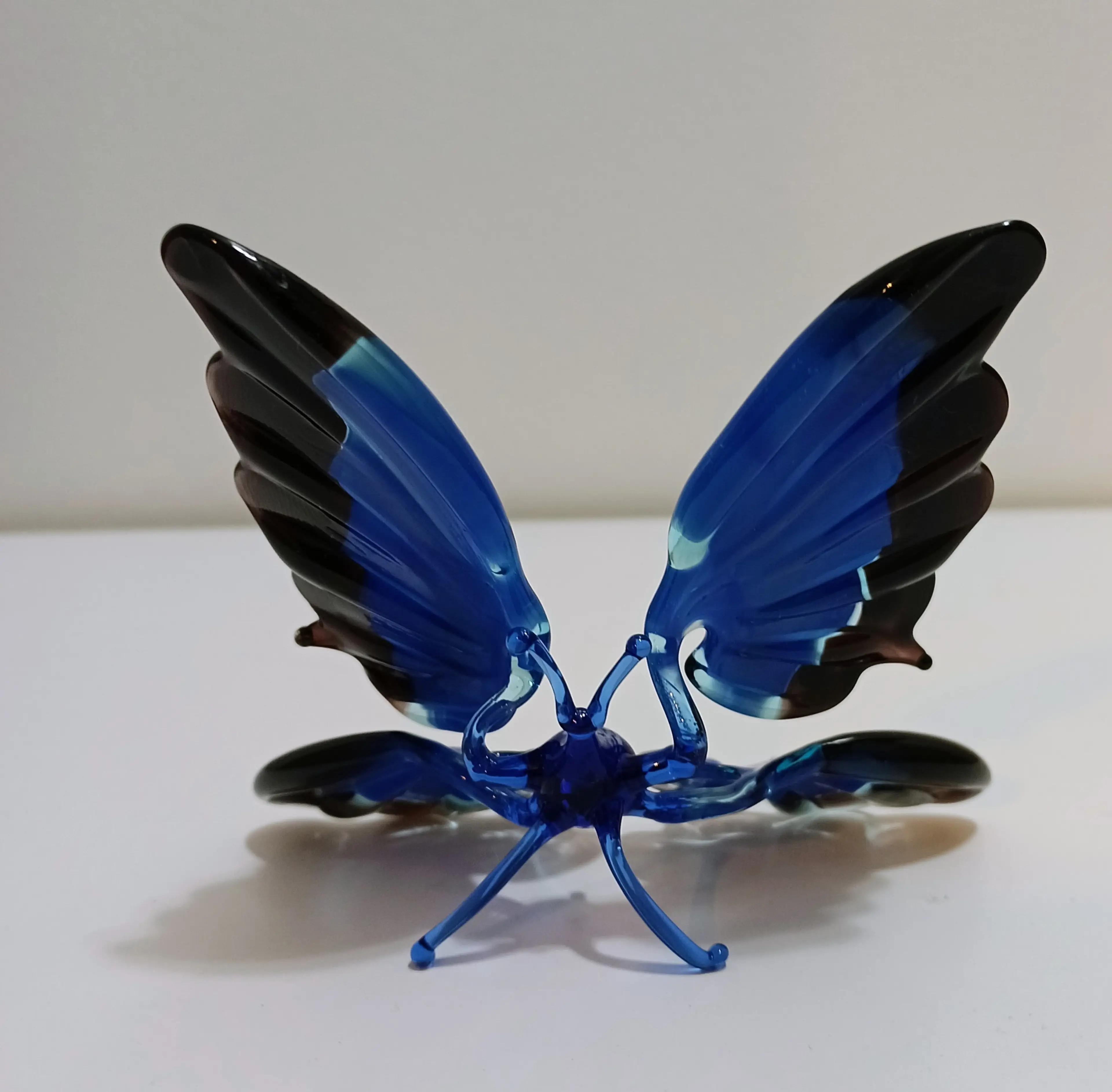 Image 3 of 7