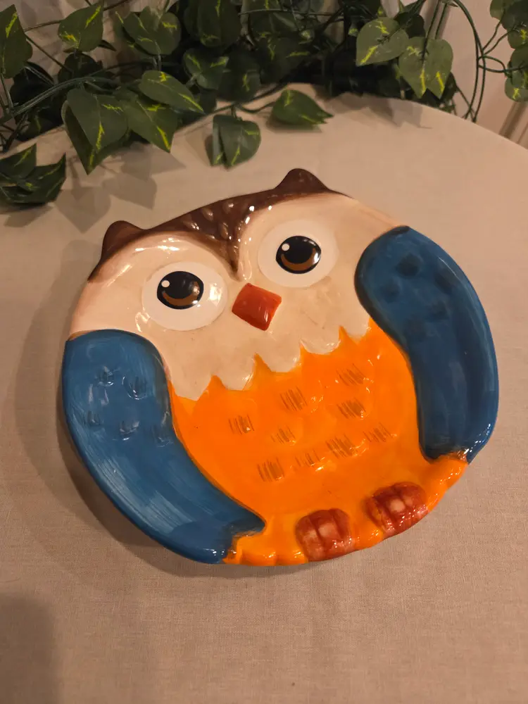 Colorful Owl Ceramic Plate