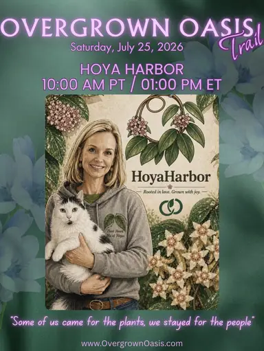 Hoyas!