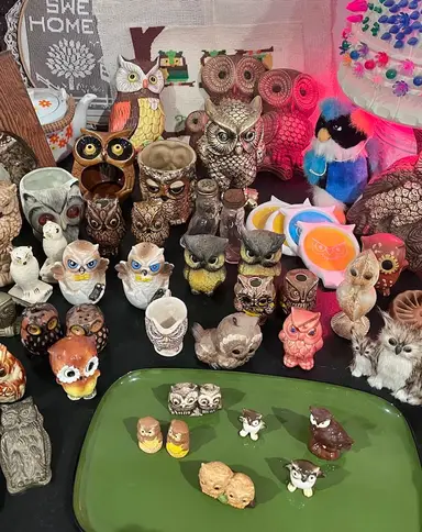 Owls, Owls, And More Owls! 🦉😆 Jewelry If Time