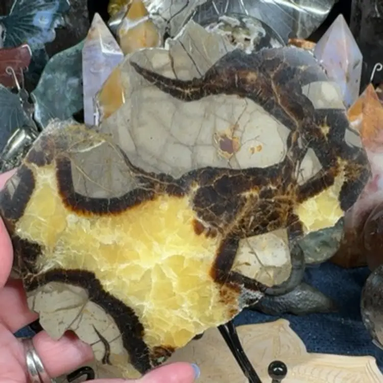 Septarian Slab 30A