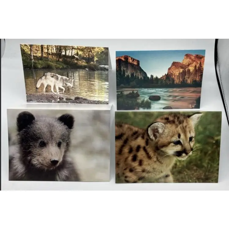 5 wild life postcards blank inside & envelopes