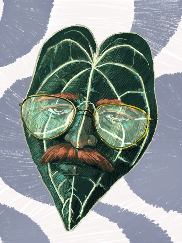 STEVENTHURIUM LIVE TRAIN