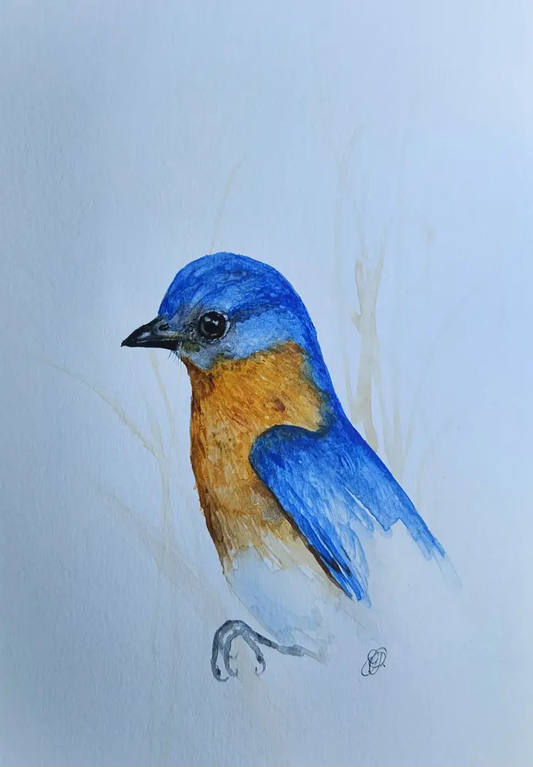 Bluebird Original Watercolor Painting Signed By The Artist 5x7 Free Shipping