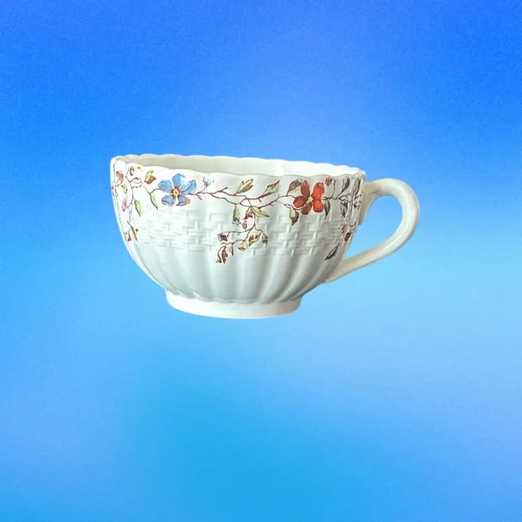 Oversized Cup & Saucer Set Wicker Dale by Spode