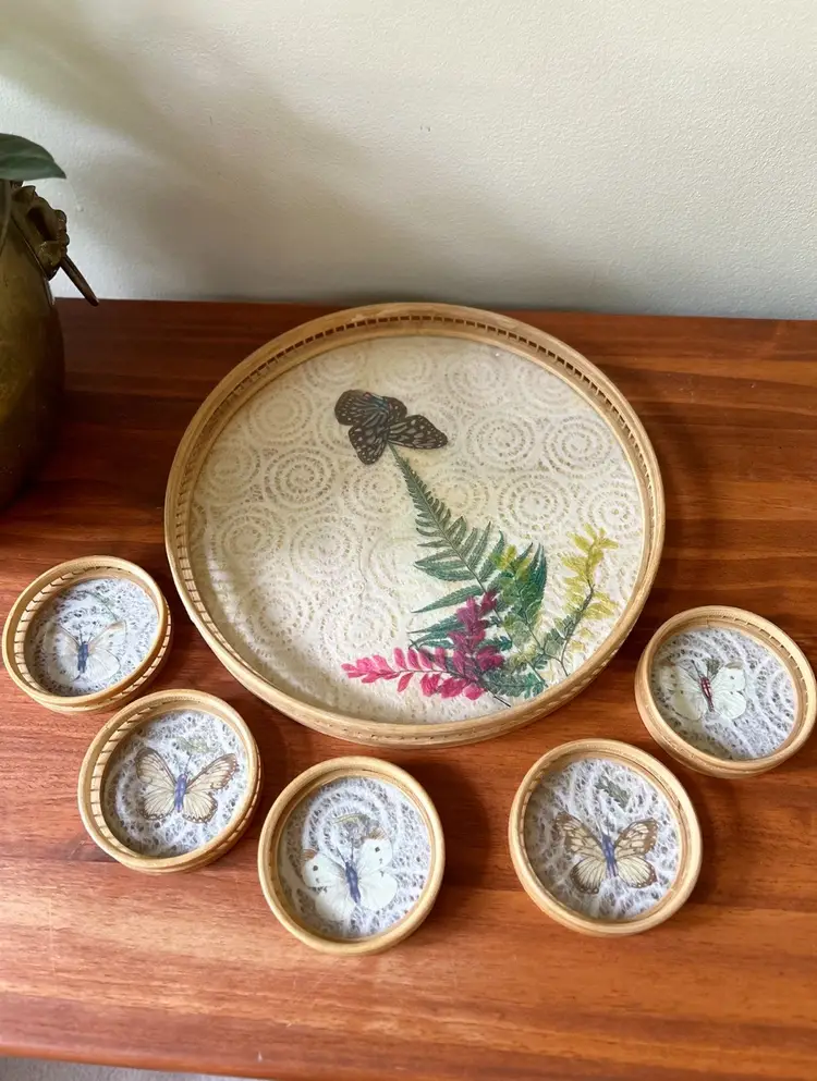 Vintage Pressed Butterfly Taxidermy Tray Coaster Set