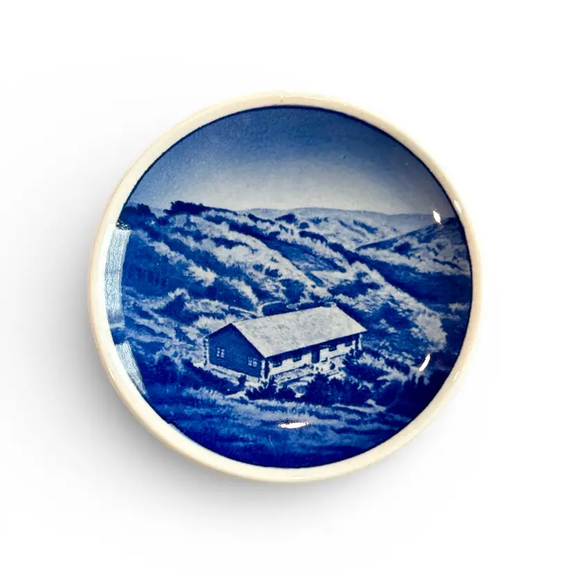 Vintage Denmark Blue And White Rebild Bakker Collector Small Wall Plate Or Butter Pat 2010