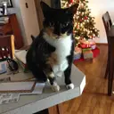 onethundertwoyahoocom