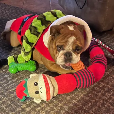 James And Rosey’s Collectibles