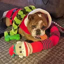 James And Rosey’s Collectibles