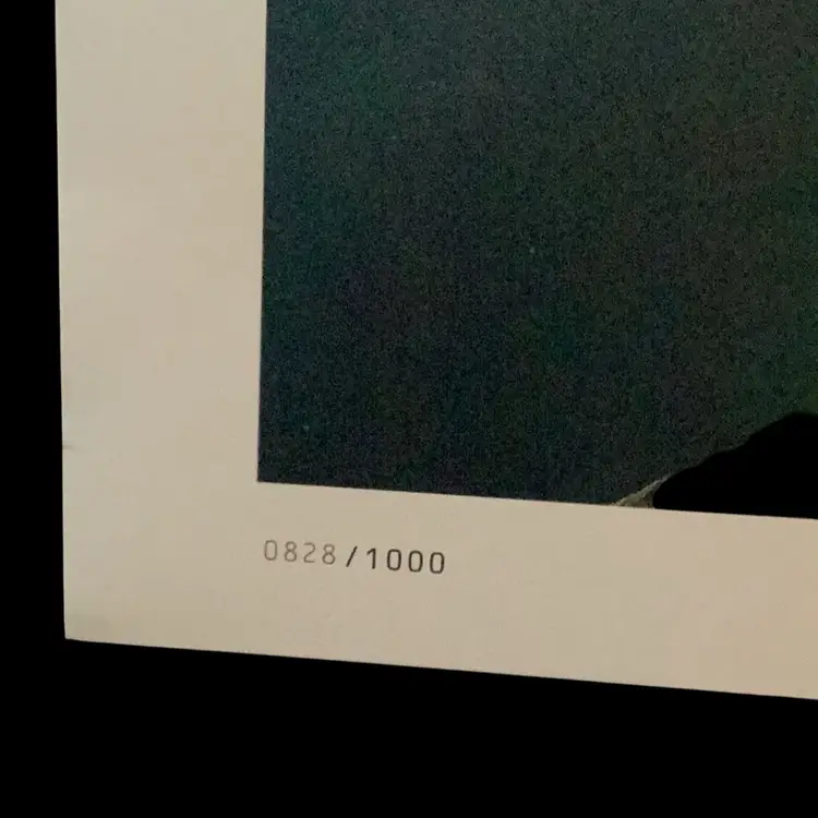 Bruce Peninsula National Park Of Canada Signed By Ethan Meleg Stunning Photograph Print #828/1000 2013 17 x 14 Inches