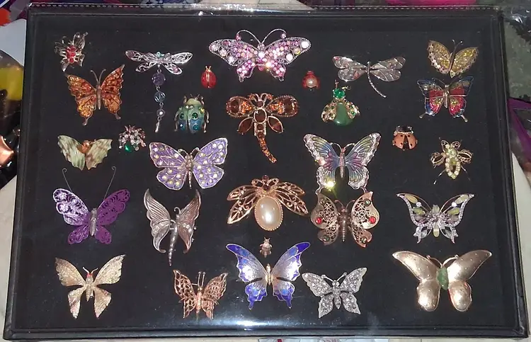 AMAZING BUG COLLECTION!! Butterflies, Dragonflies, Beetles, Lady Bugs, & More! BROOCHES that is!