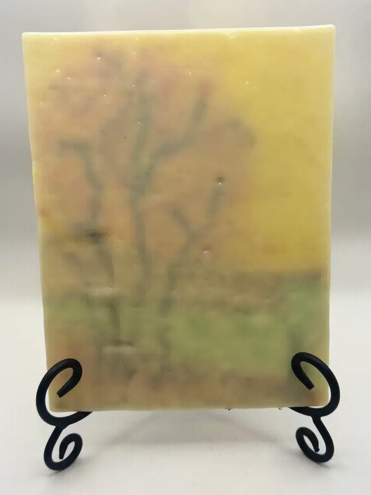 Stunning Fused Glass Rectangle Plate 9”x 7”