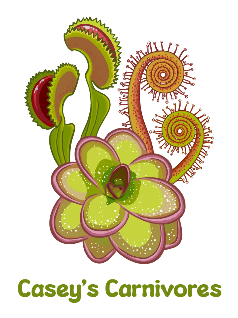 Livestream thumbnail