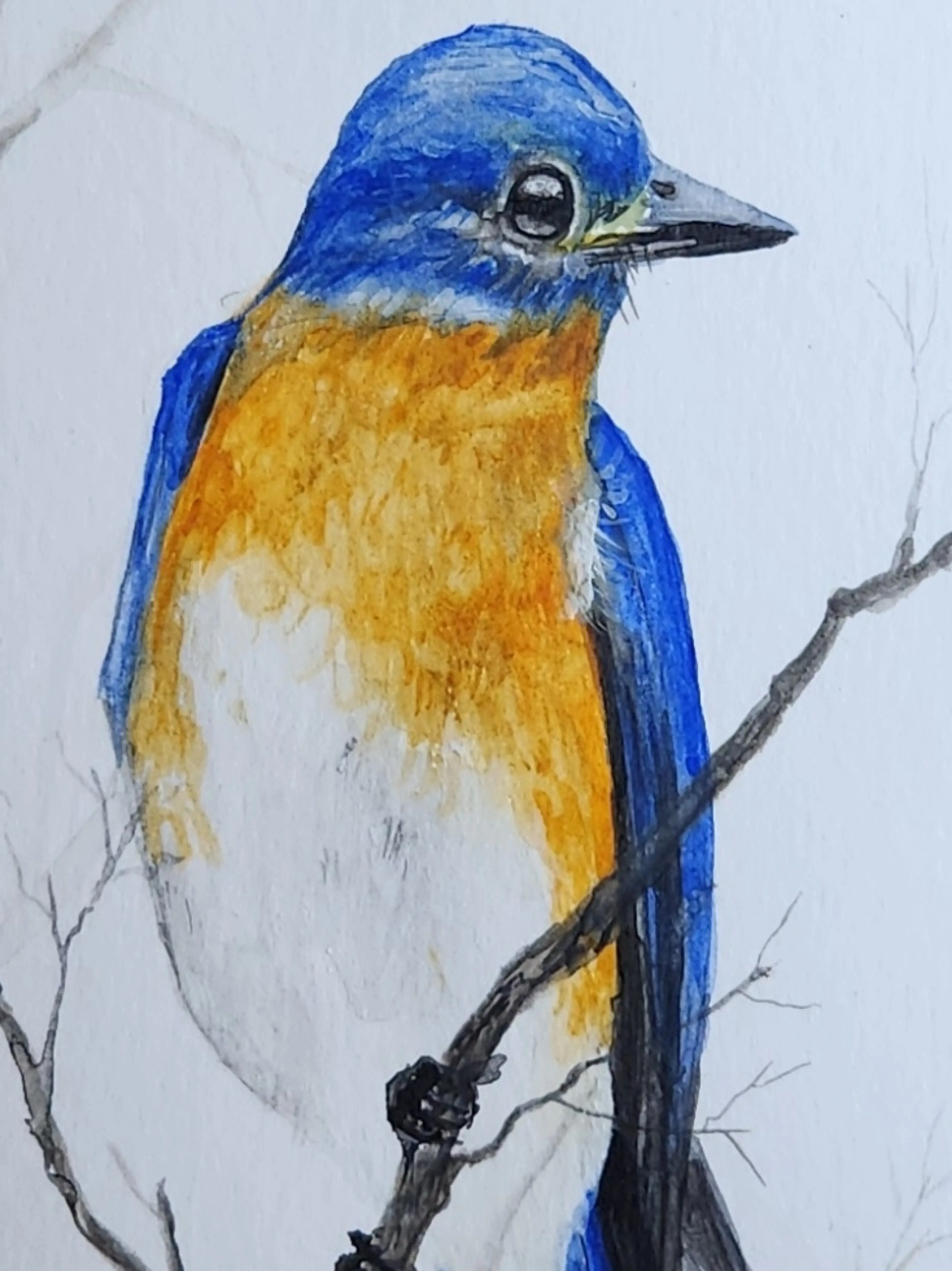 Littles at $2 starts, Handmade Goats Milk Soaps and Bird Paintings!