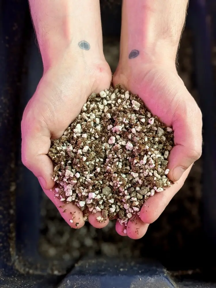 Brambles Brand Ping Mix - half gallon