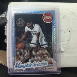 Memphis Grizzlies Cedric coward