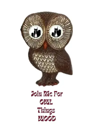 Last Call: Owl Things Wood